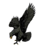 Seeley-Swan Logo